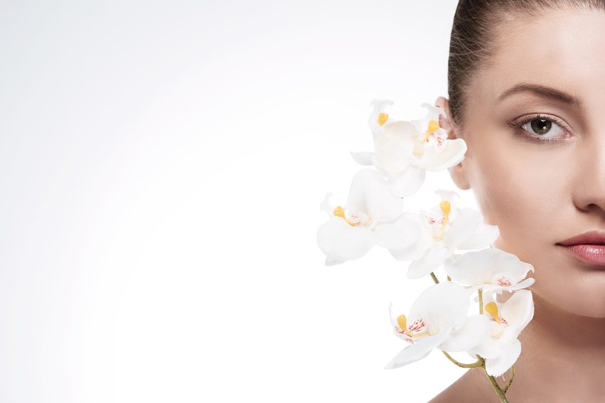 Orchidee